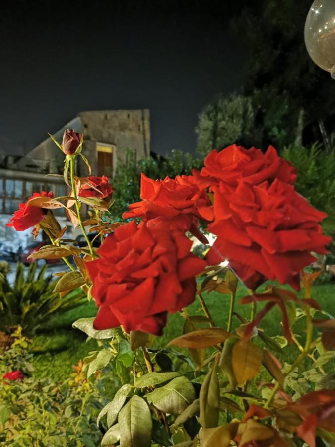 L'Angolo Di Campagna Piano di Sorrento Exterior foto
